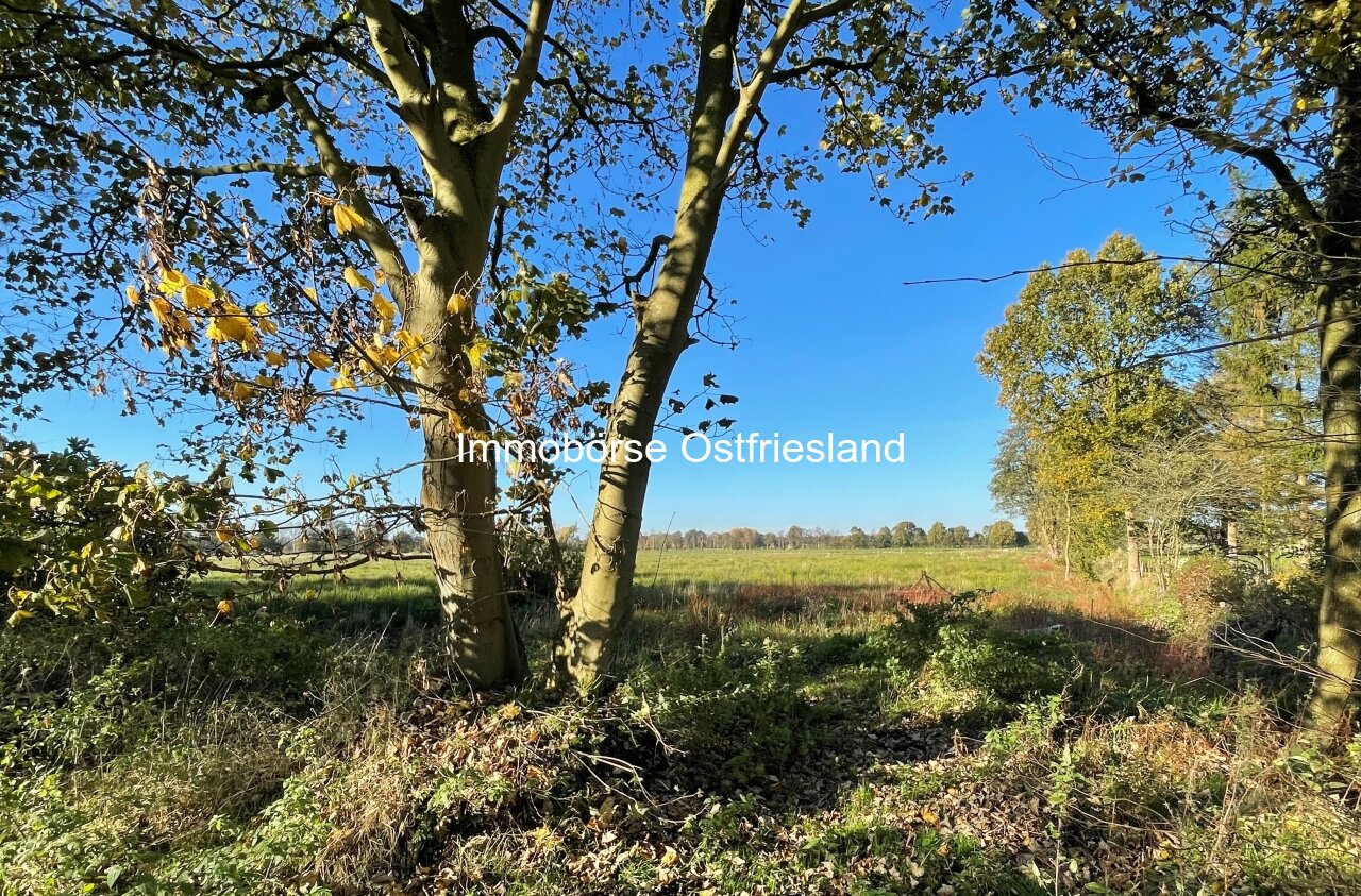 näheres Umfeld