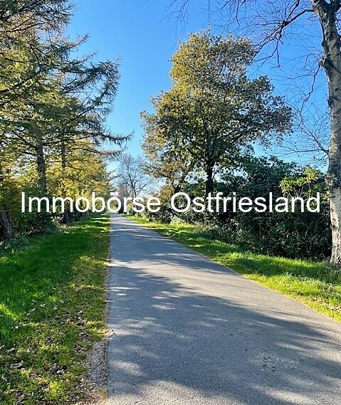 Strassenallee
